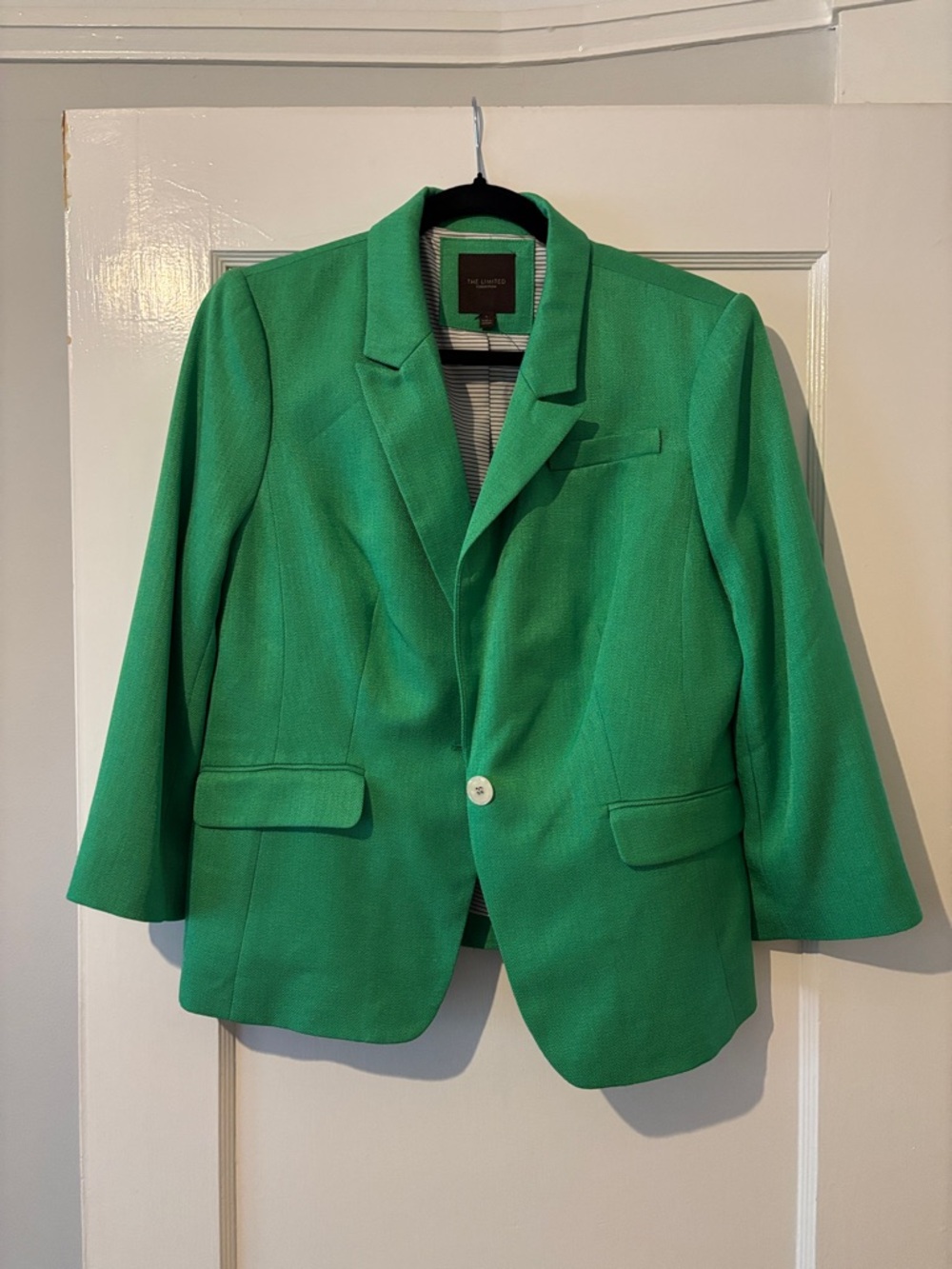The Limited Mint Green Herringbone Blazer